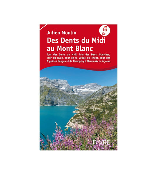 Des Dents du Midi au Mont Blanc